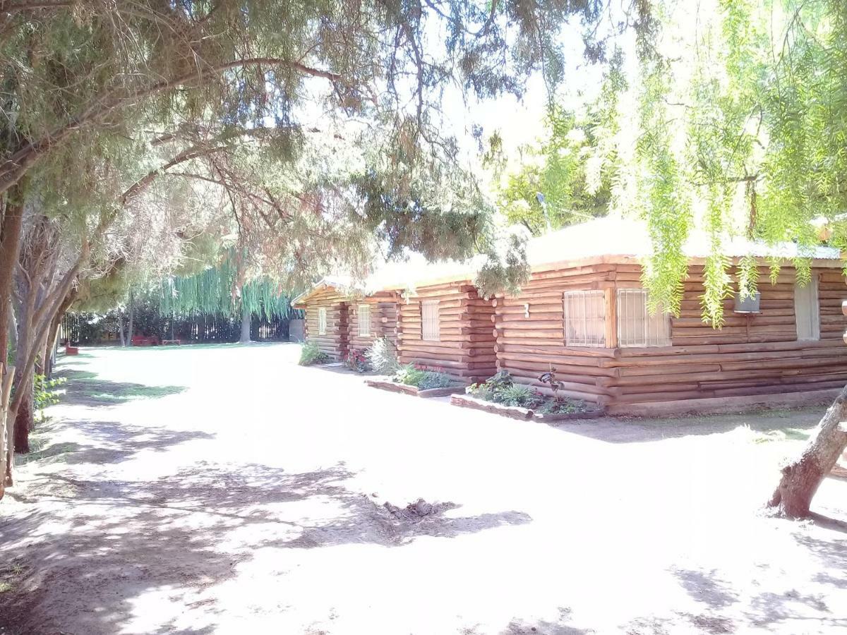 Villa Cabanas Alto Bermejo à Mendoza Extérieur photo