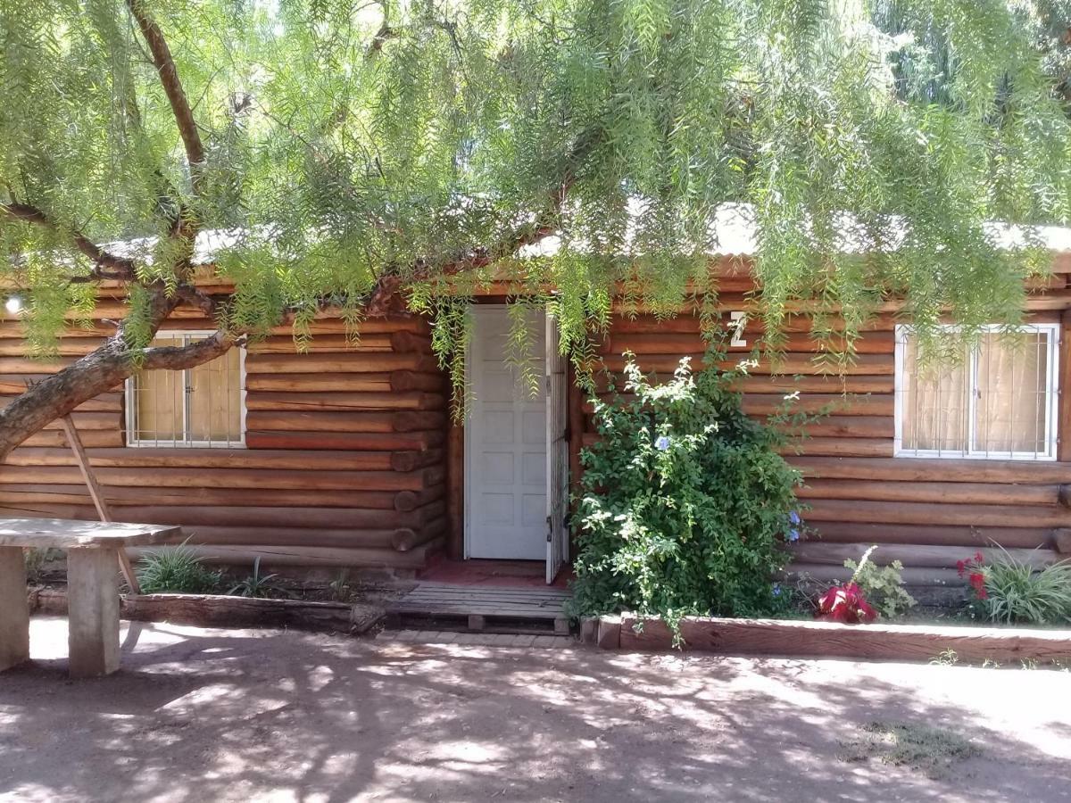 Villa Cabanas Alto Bermejo à Mendoza Extérieur photo