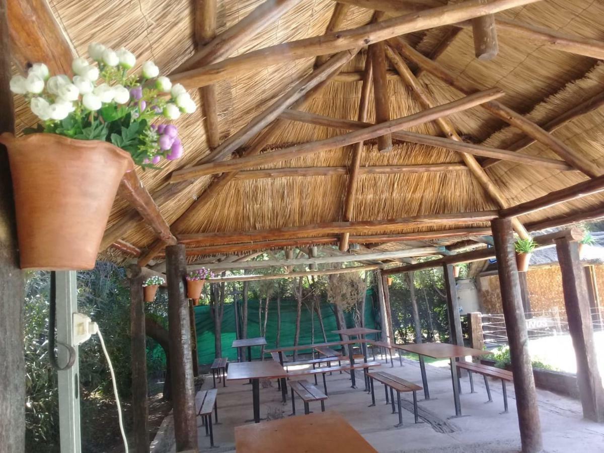 Villa Cabanas Alto Bermejo à Mendoza Extérieur photo