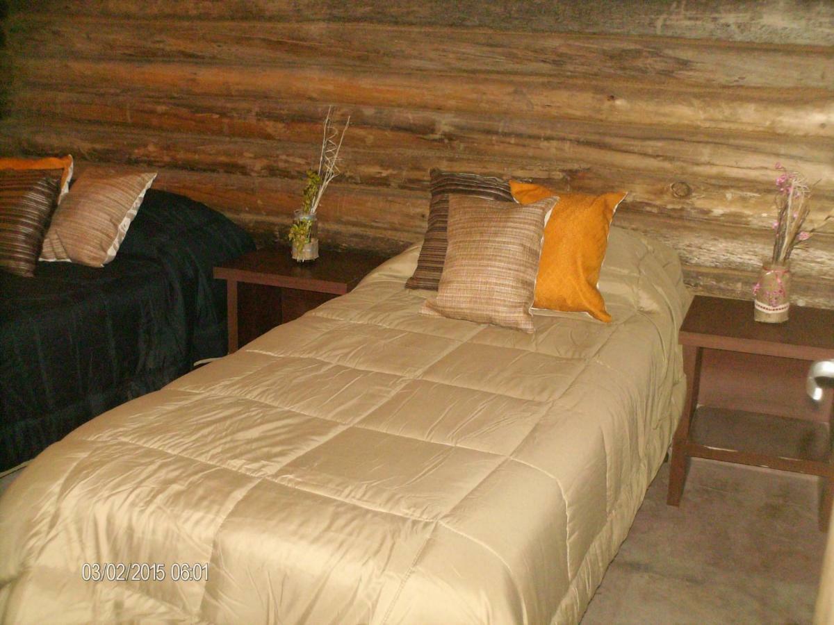 Villa Cabanas Alto Bermejo à Mendoza Extérieur photo